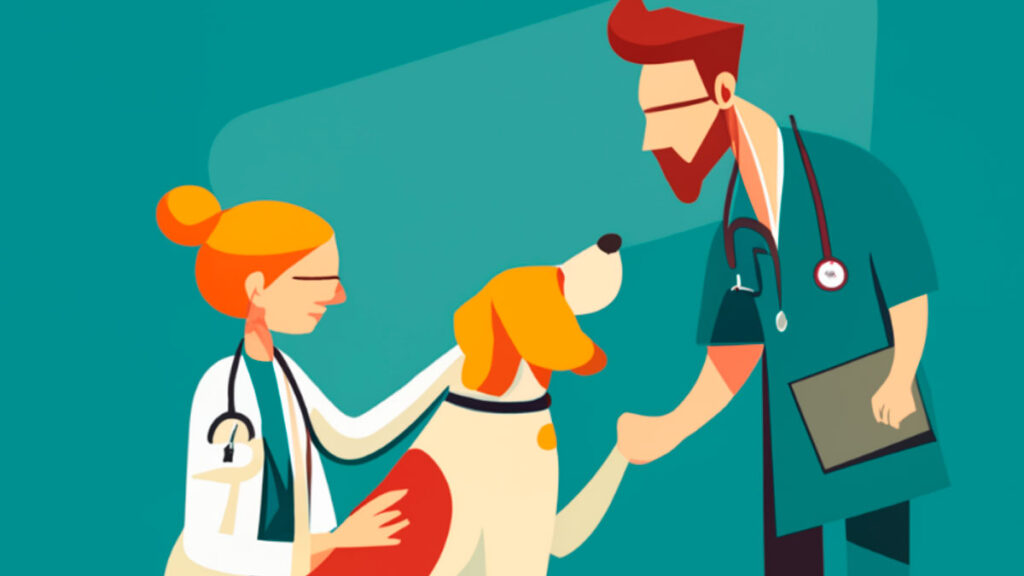 do vets take pet insurance